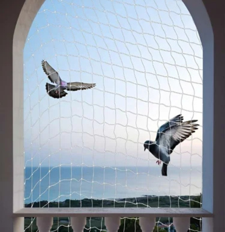 pigeonsafetynets
